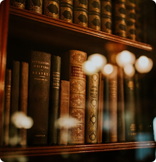 Lorem ipsum dolor sit amet consectetur. Bibendum dis donec.